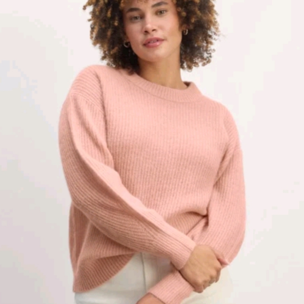 Everlane Women's Alpaca Cocoon Crew Neck Sweater